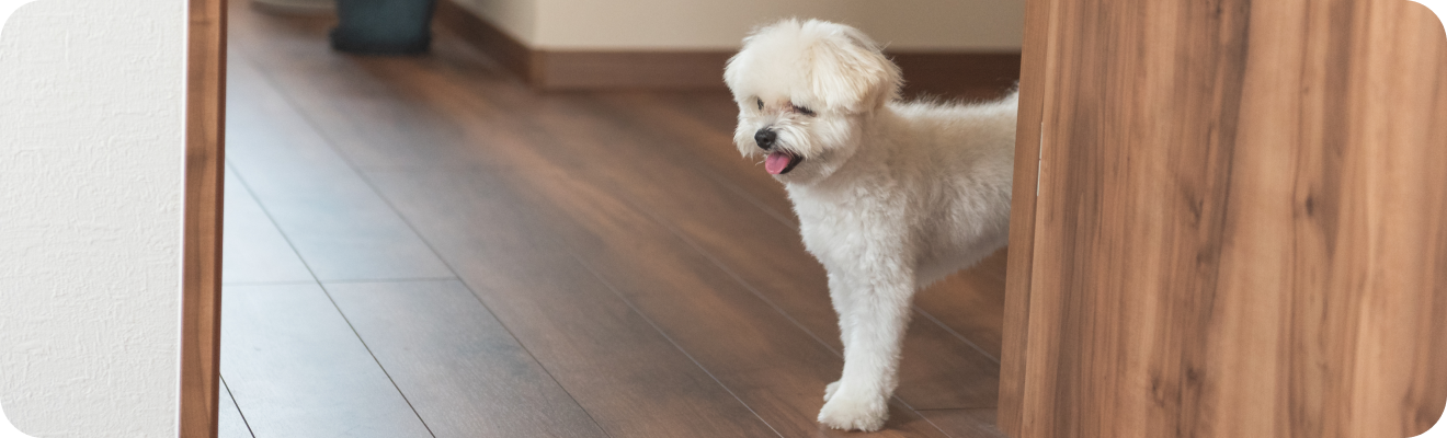 ペットリフォーム